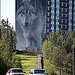 wolf_frontphotogallery1
