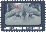 but_wolfcapital-jk