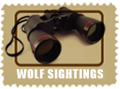but_wolfsight
