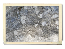 spirit-way-guide_page_14_image_0003