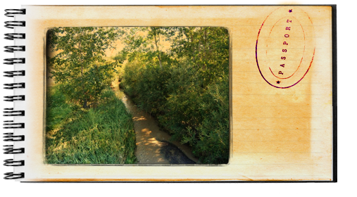 ravine-park ravine-park